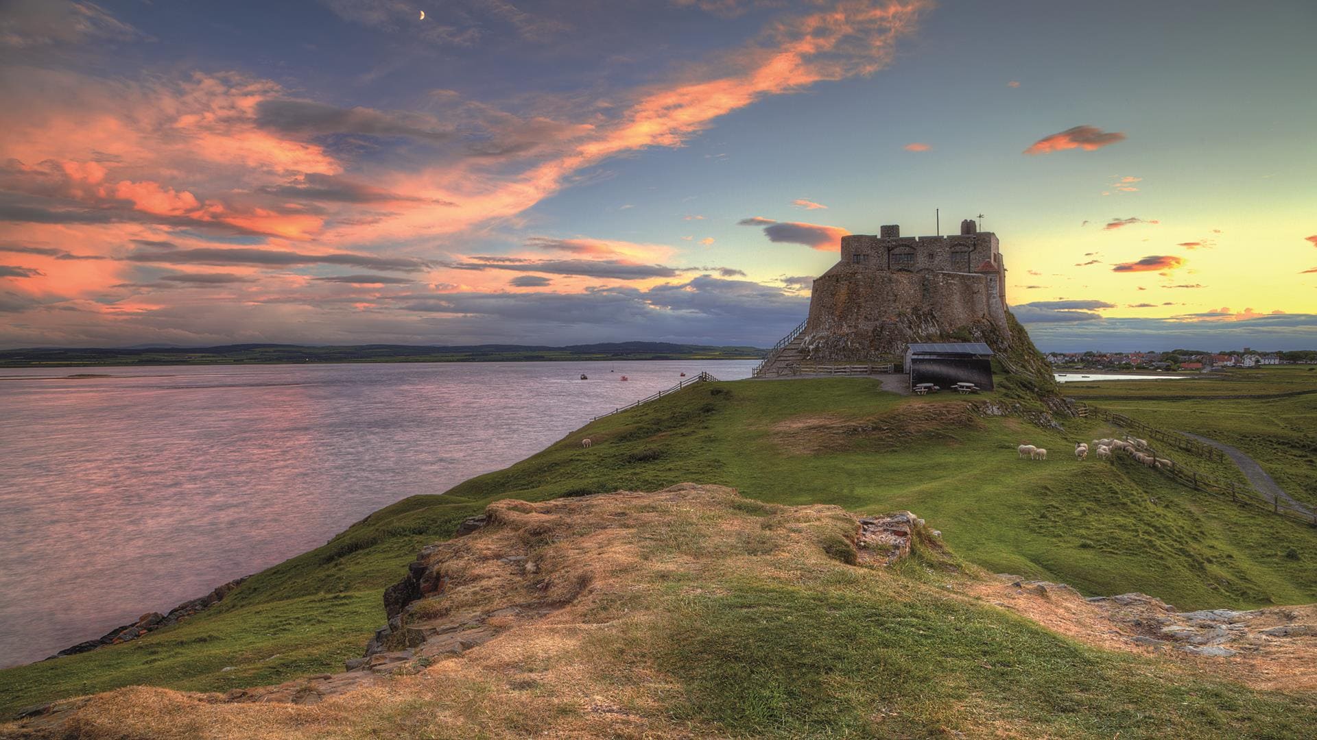 Lindisfarne Holy Island Tour